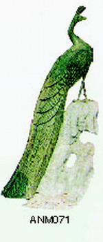 Peacock-ANM071